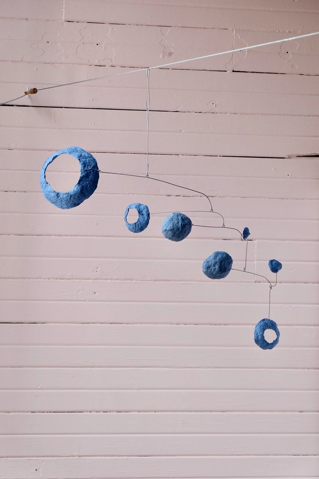 Washed Blueberries 8