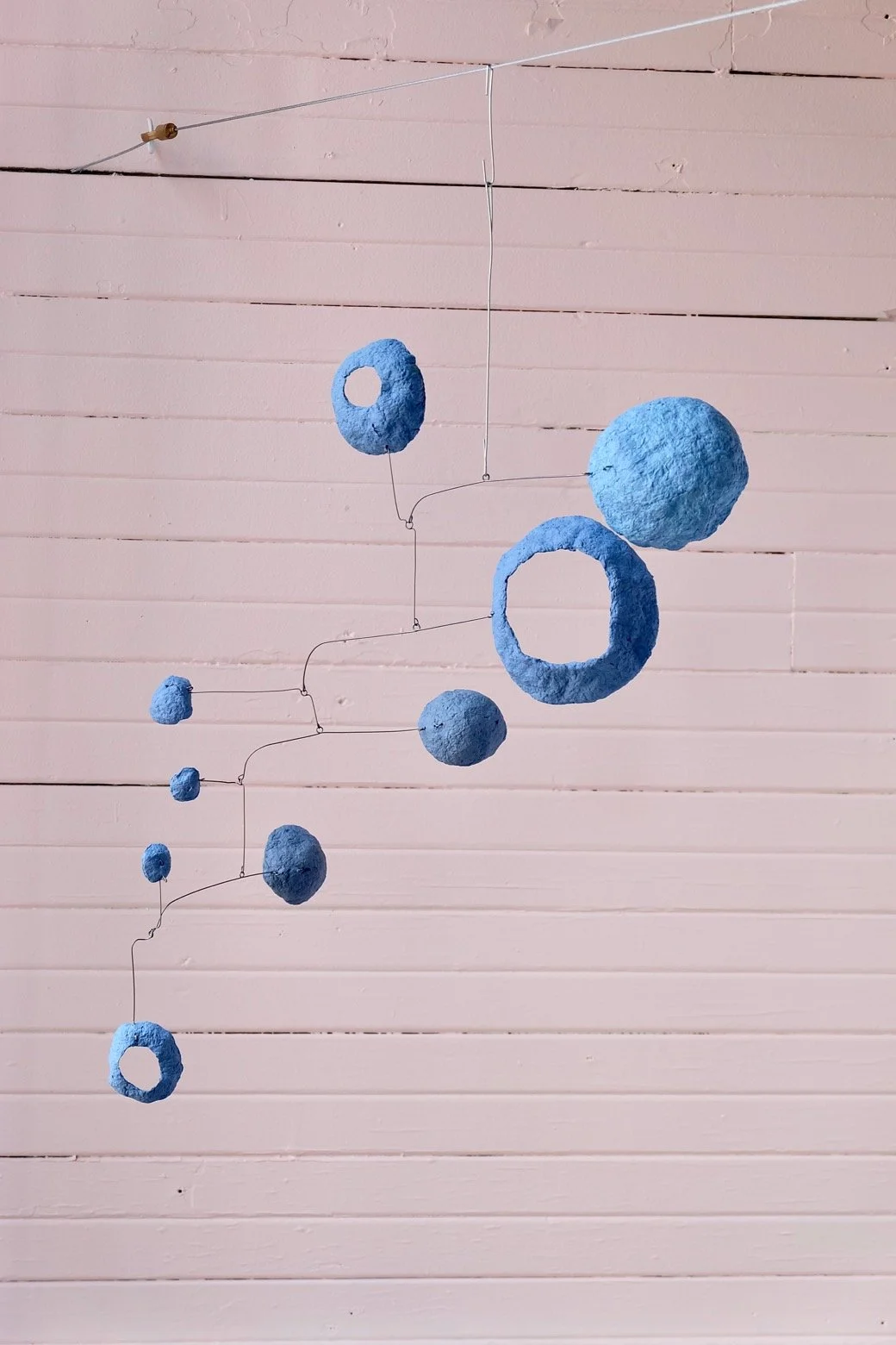 Washed Blueberries 7
