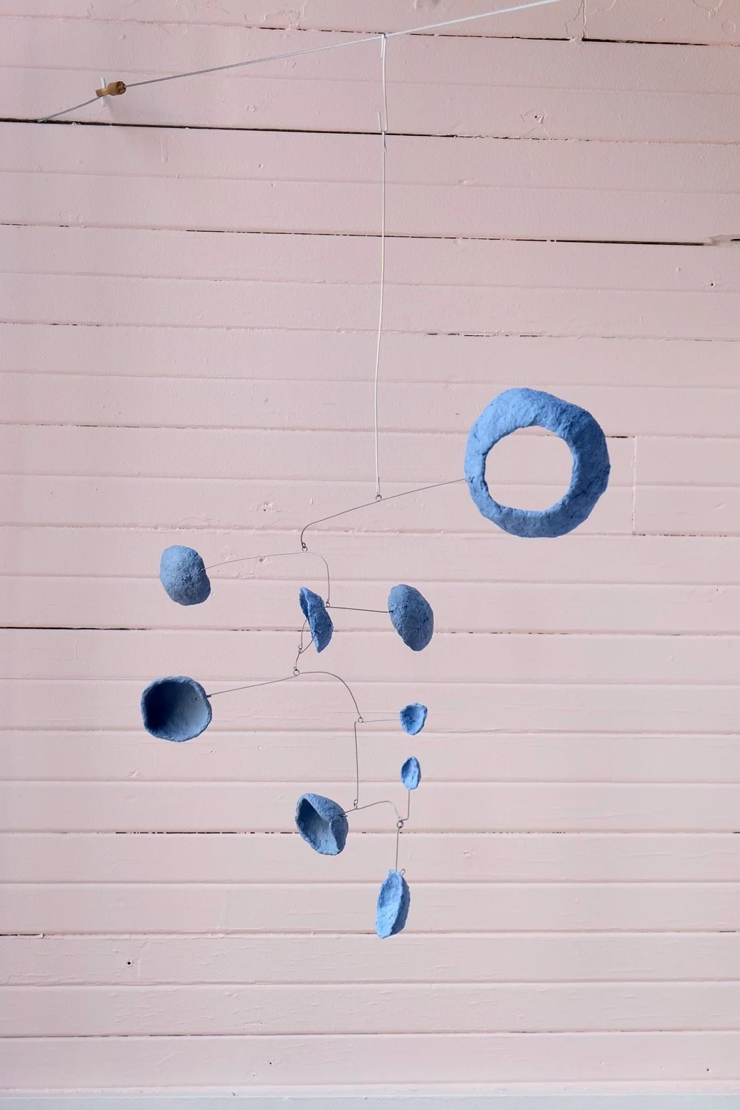 Washed Blueberries 6