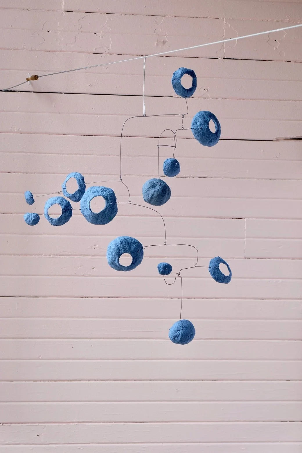 Washed Blueberries 5