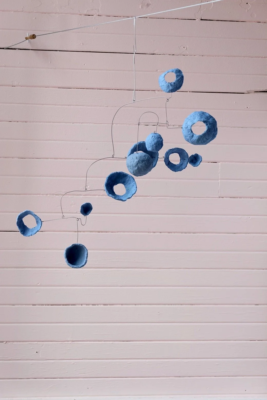 Washed Blueberries 4
