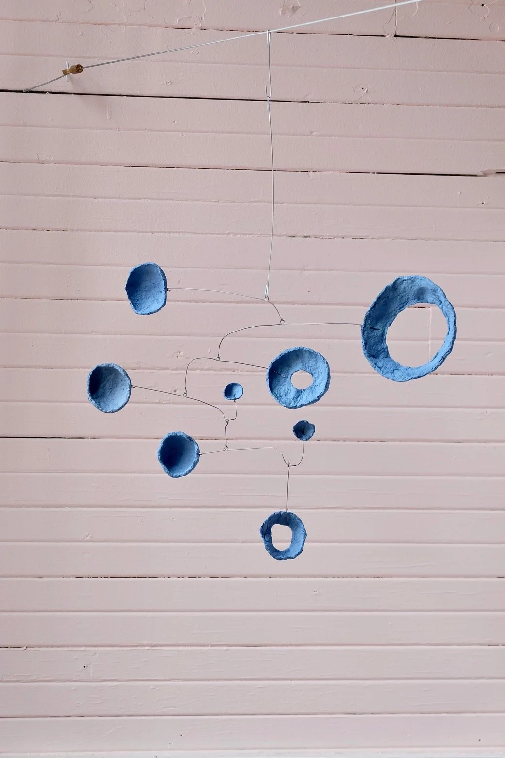 Washed Blueberries 3