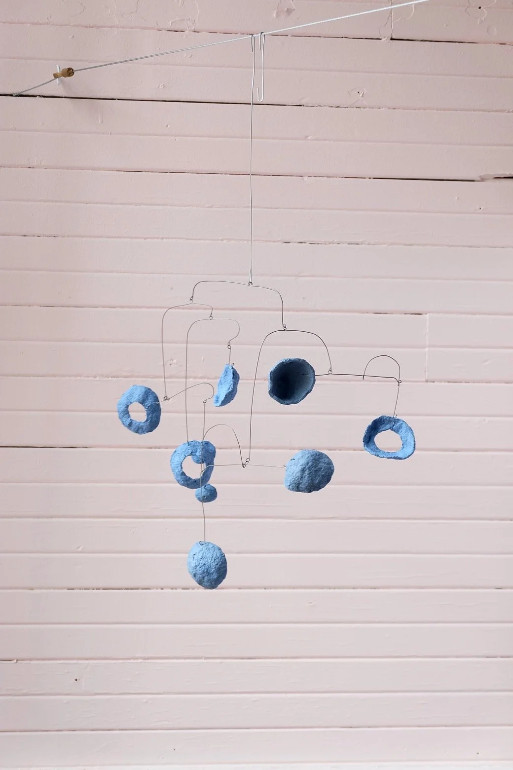 Washed Blueberries 2