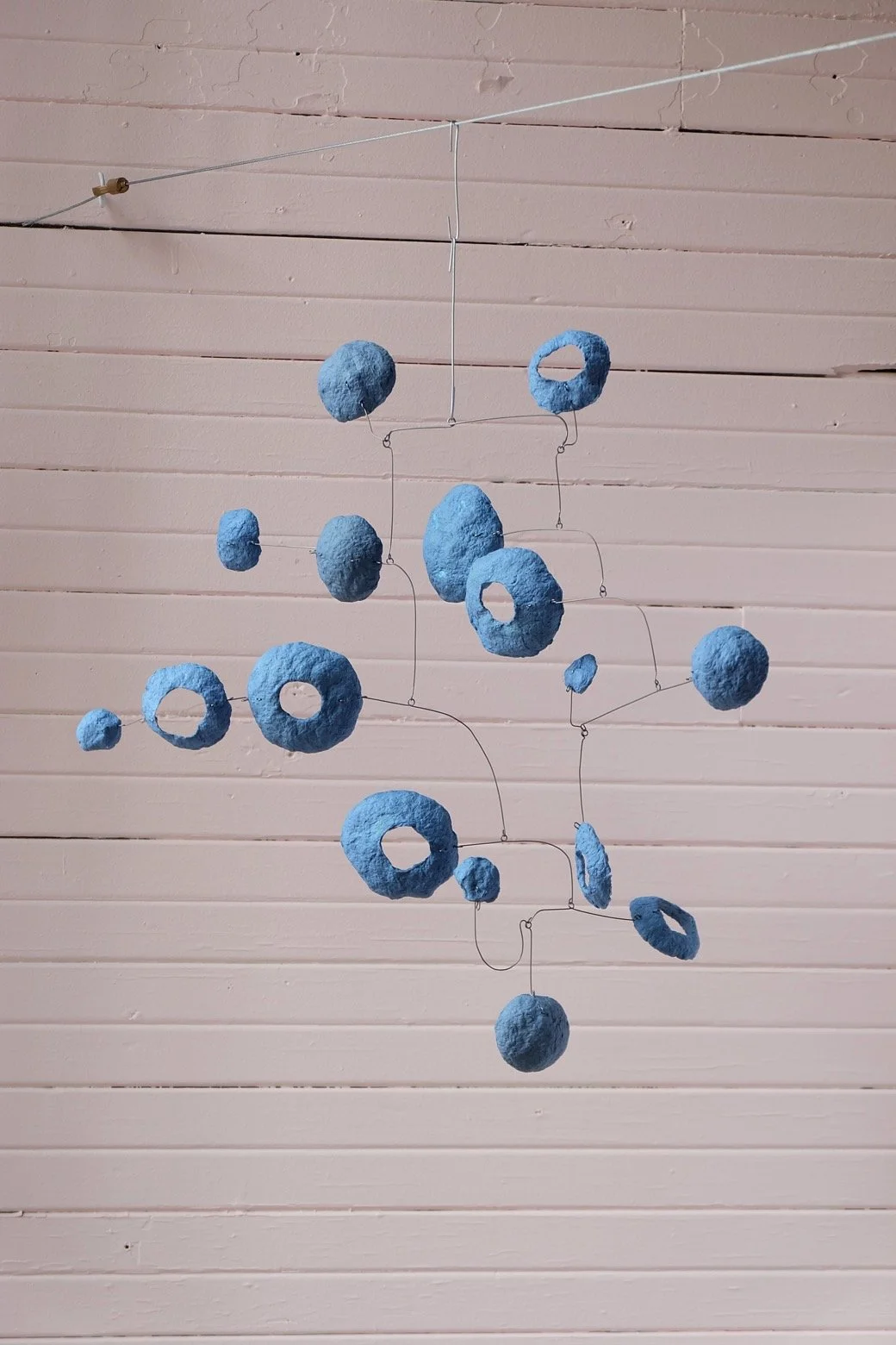 Washed Blueberries 1