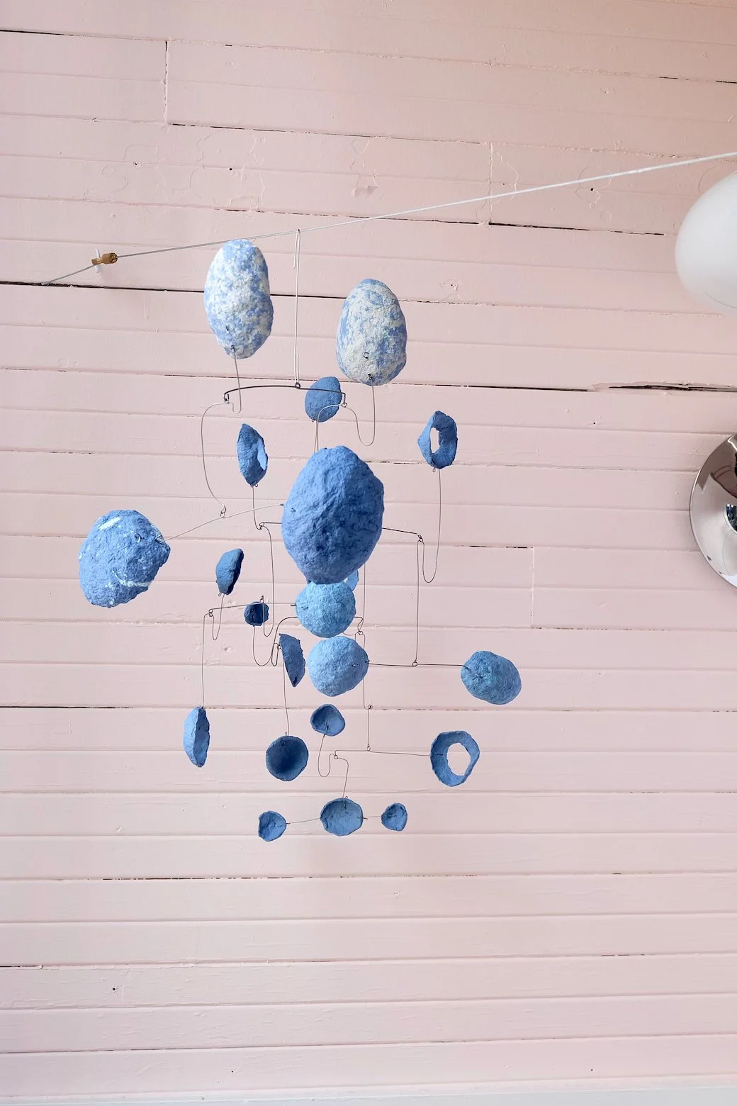 Washed Blueberries 19