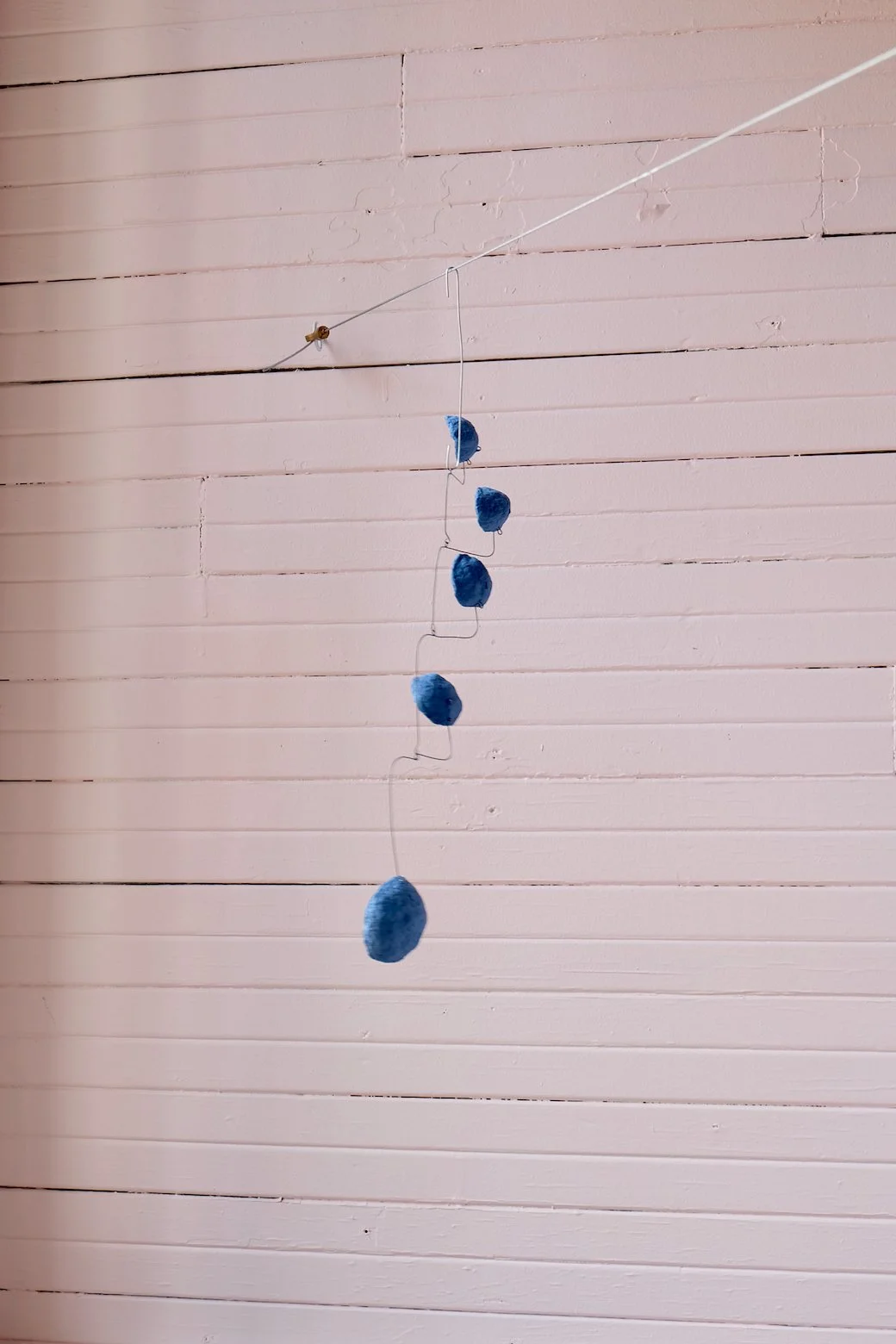 Washed Blueberries 20