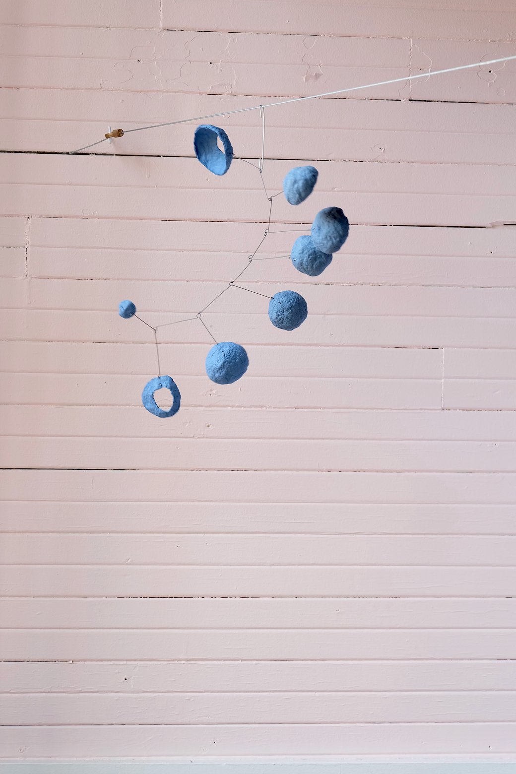 Washed Blueberries 21
