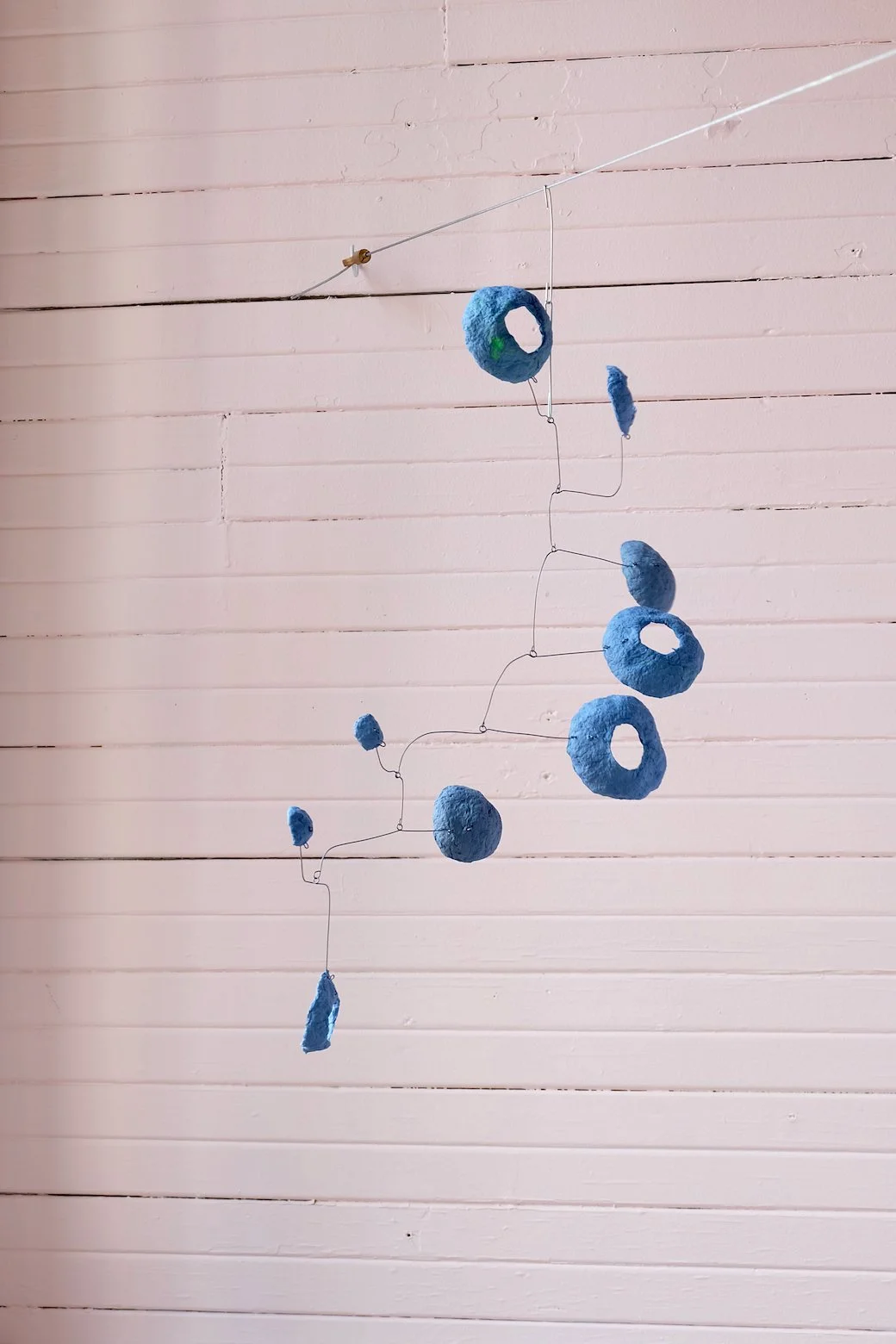 Washed-Blueberries-22_3_LR.jpg