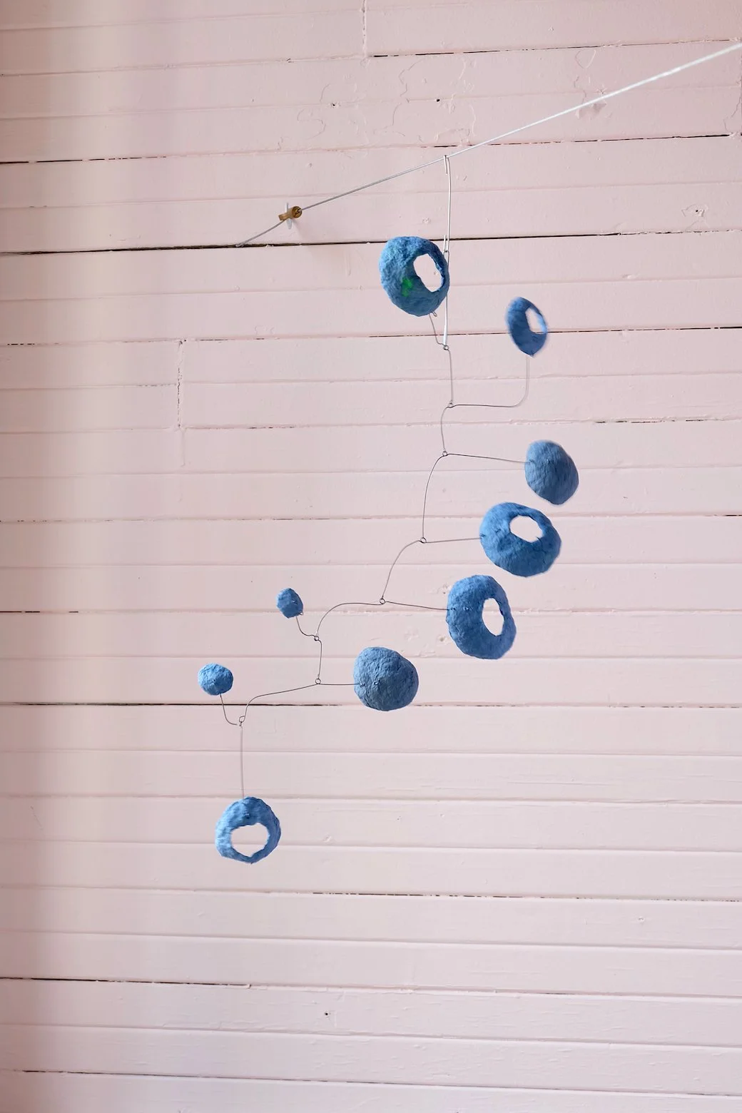 Washed Blueberries 22