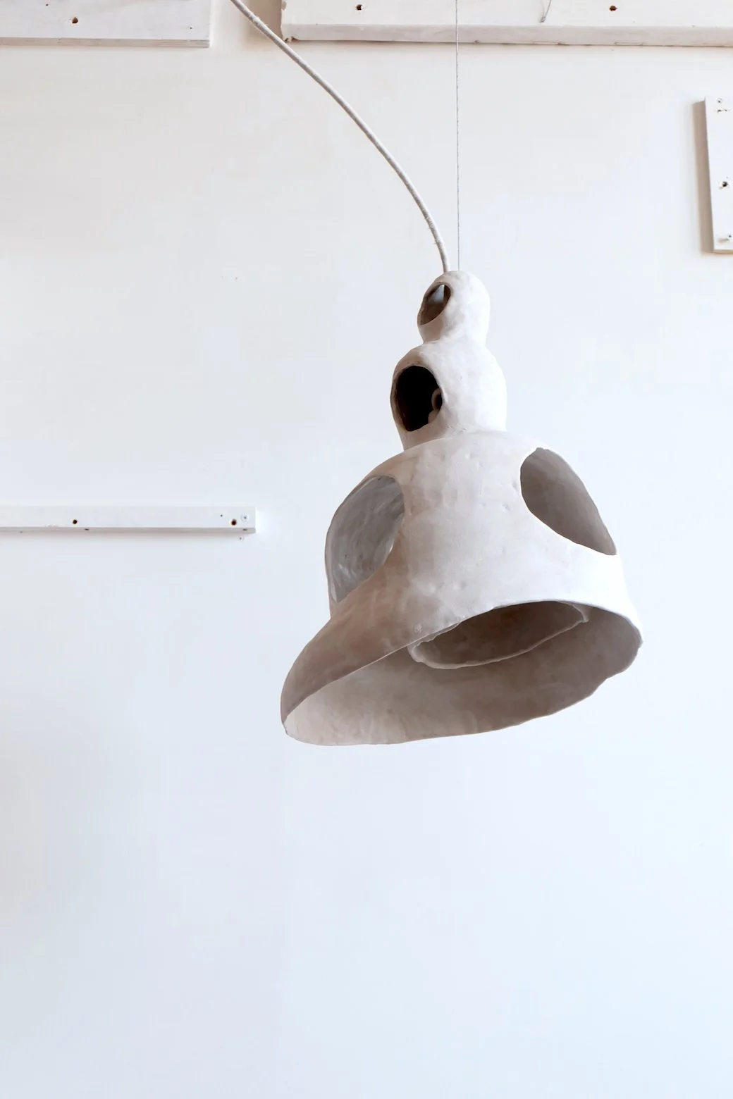 White Beetle (1).jpeg