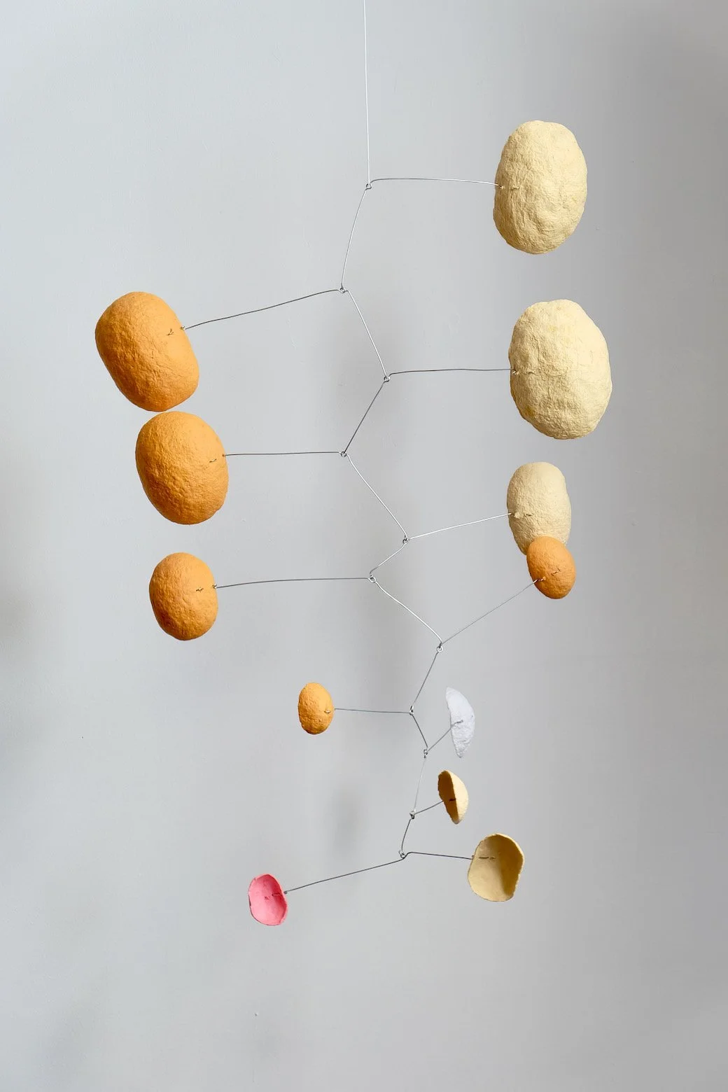 Aki-Zakura 12 (1).jpeg