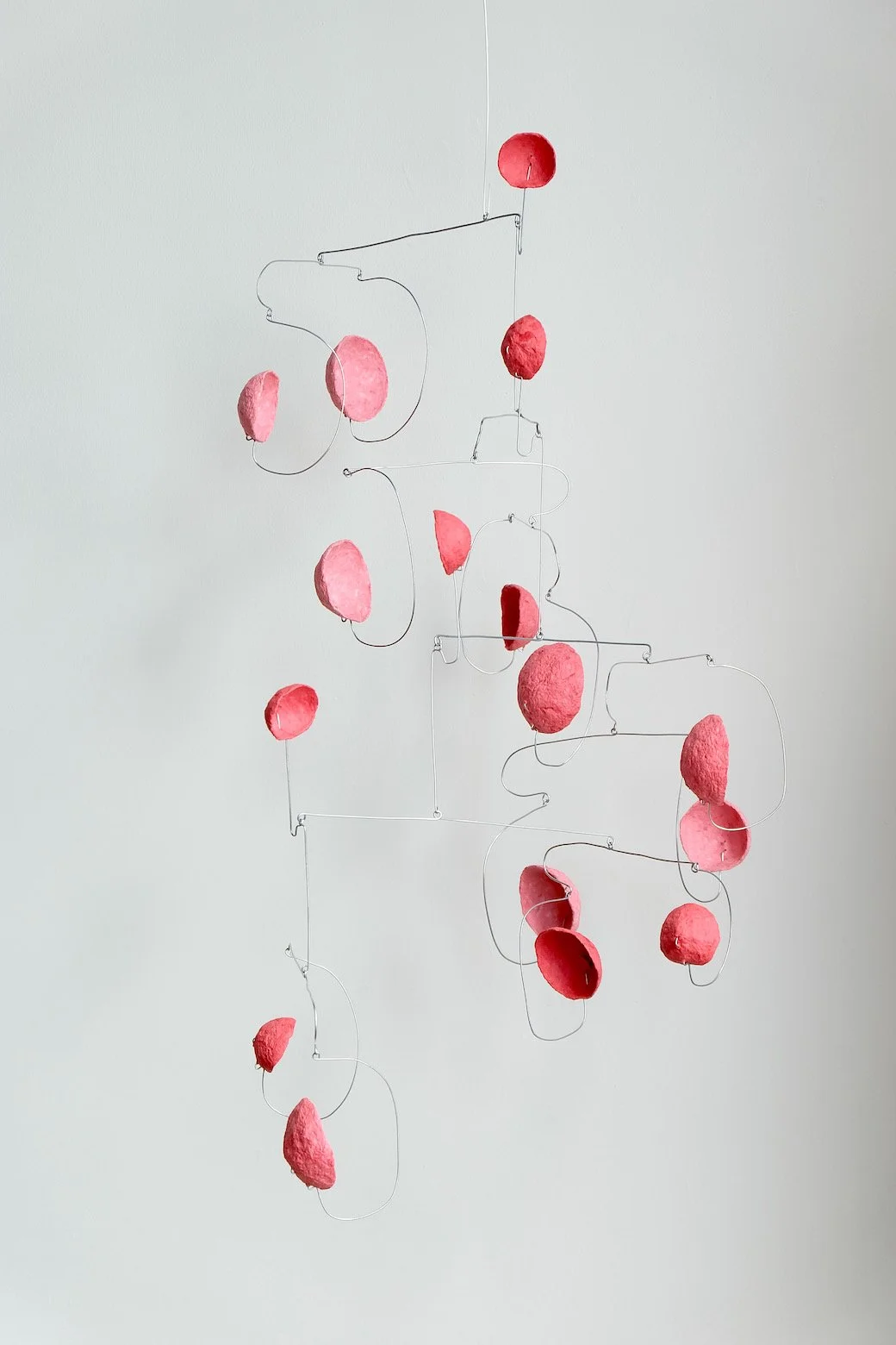 Aki-Zakura 07 (1).jpeg