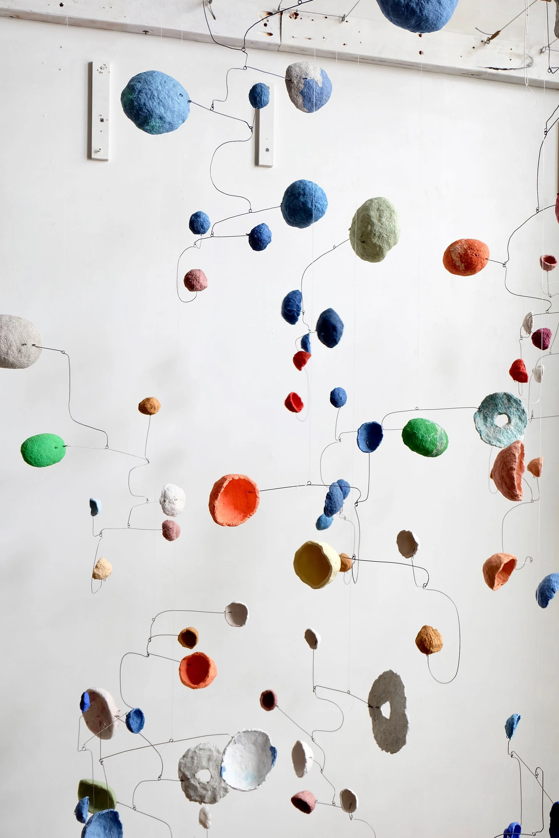 Spring Sprung - 04.jpeg