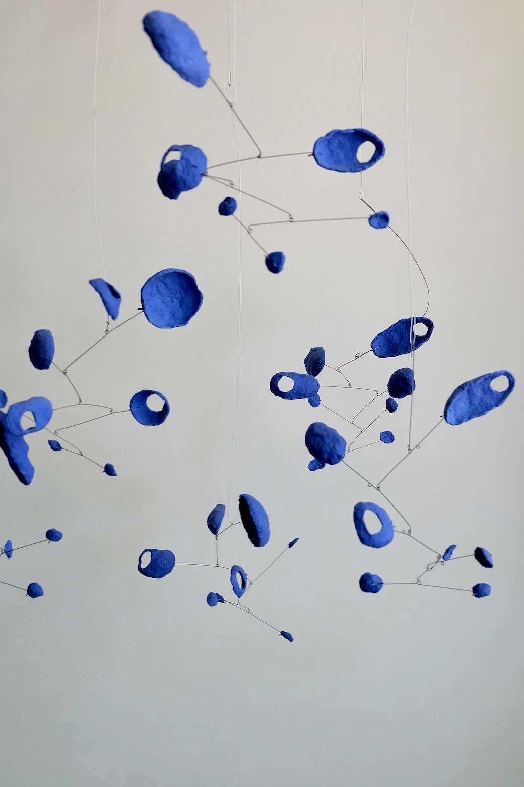 All Blue Group (4).jpeg
