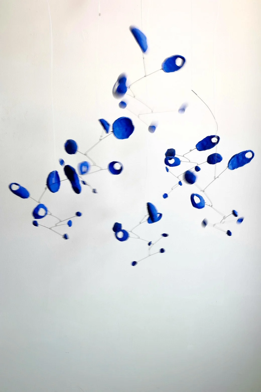 All Blue Group (1).jpeg