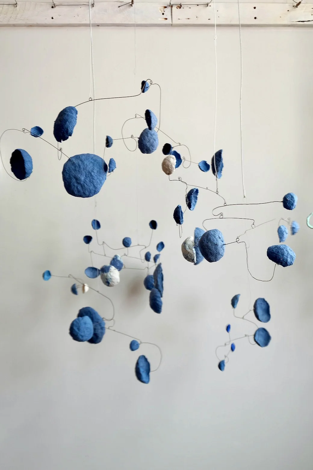 Blue Group (2).jpeg