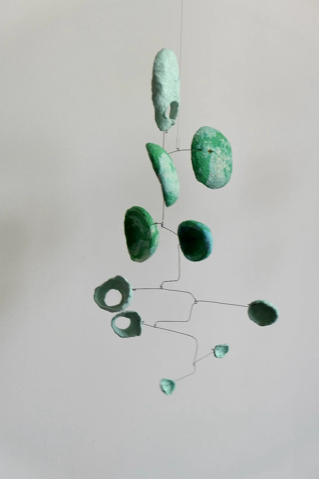 Leafy 03 (4).jpeg