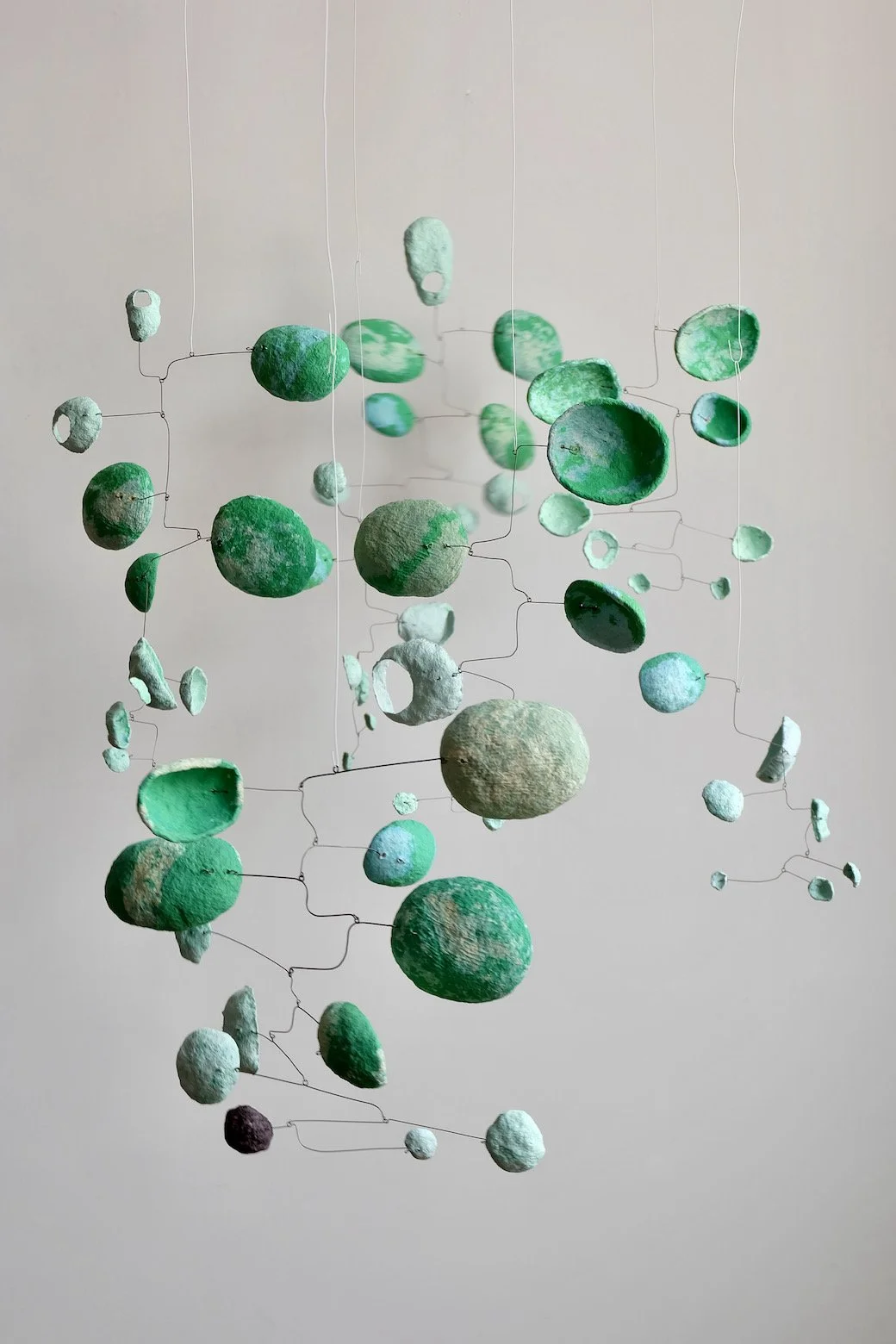 Leafy Group (1).jpeg