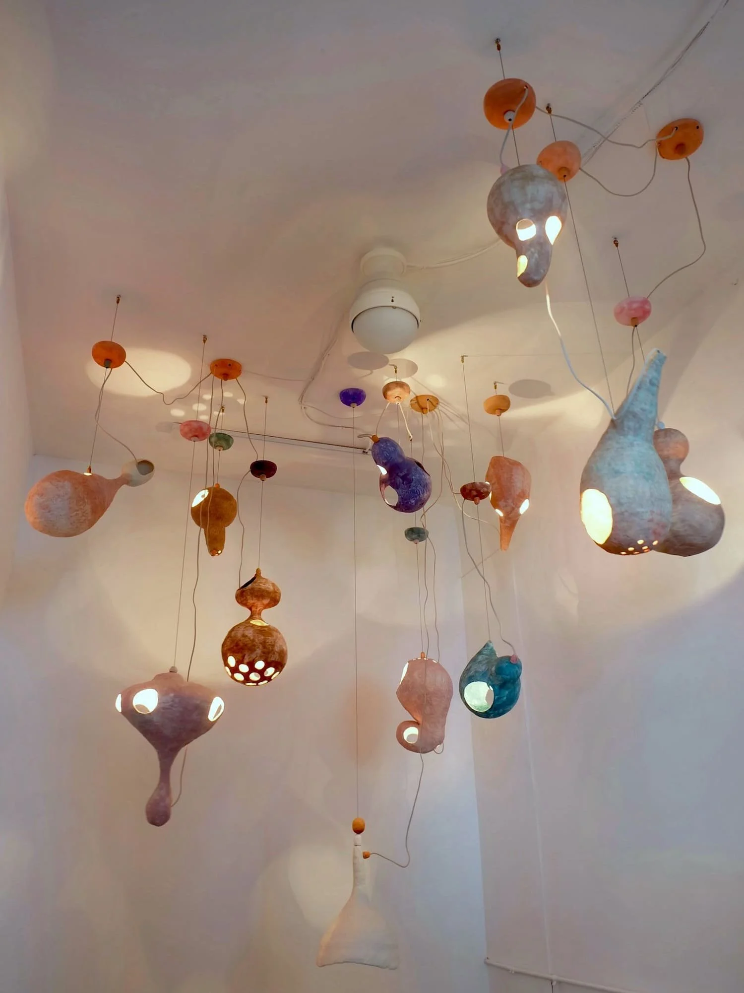 Petrichor, 2019
