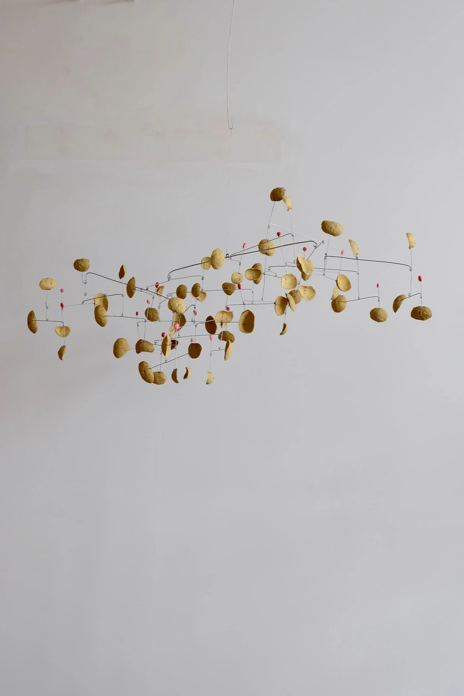 Maple Glaze with Pickled Plums (1)-1500.jpeg