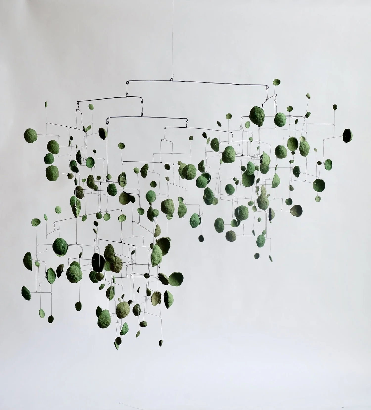 Mossy Mossy H9H (1).jpeg