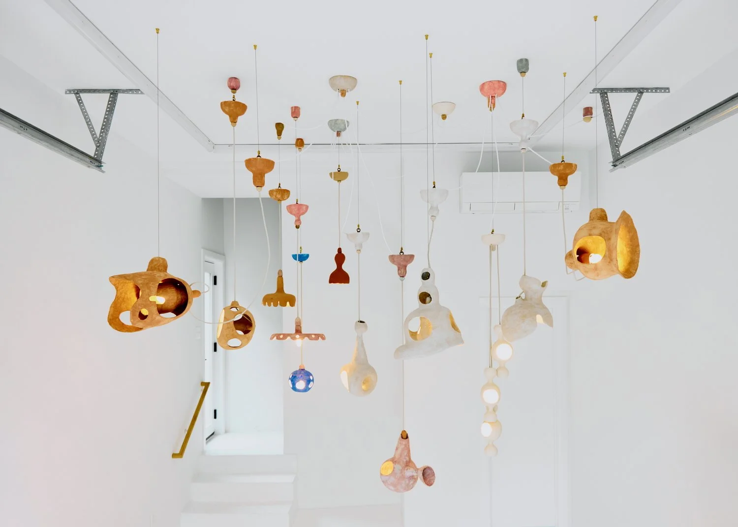 Sporarium, installation view, Friends Artspace, Arlington, VA, March 26-May 27, 2022