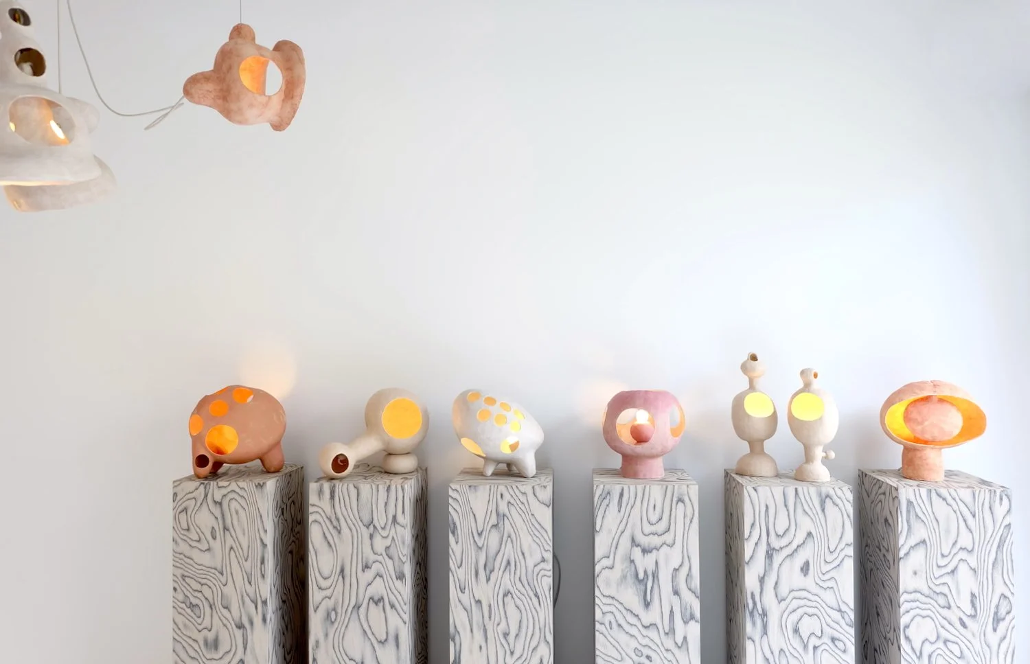 Sporarium, installation view, Friends Artspace, Arlington, VA, March 26-May 27, 2022