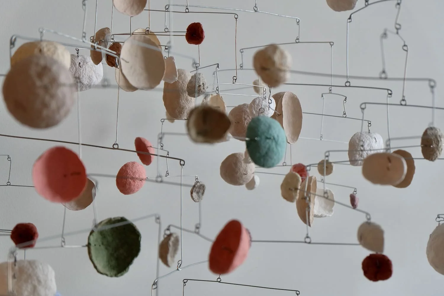 Purple-Dot BAAB-BAA-06-1500.jpeg