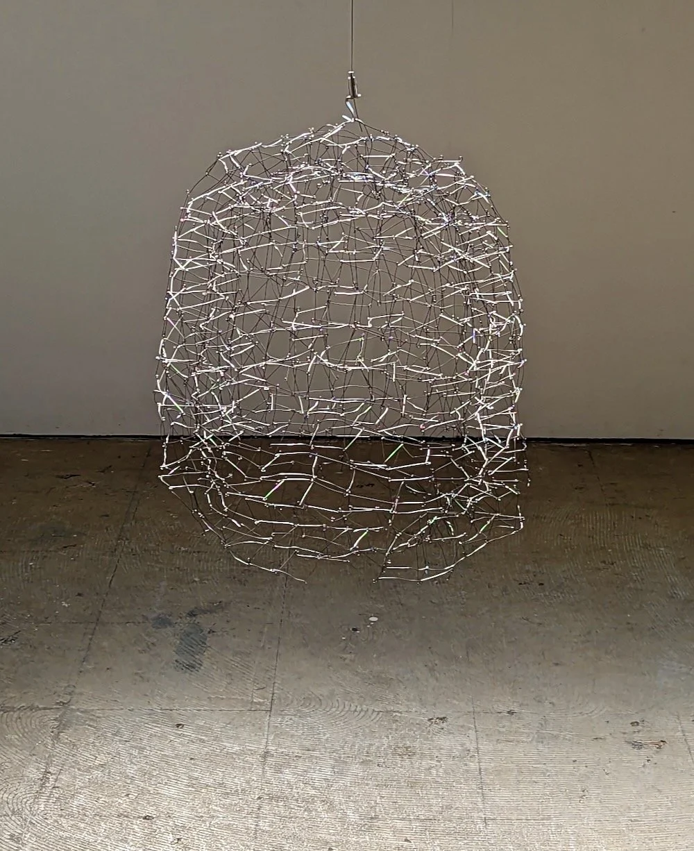 Wire Sculpture 27.jpeg