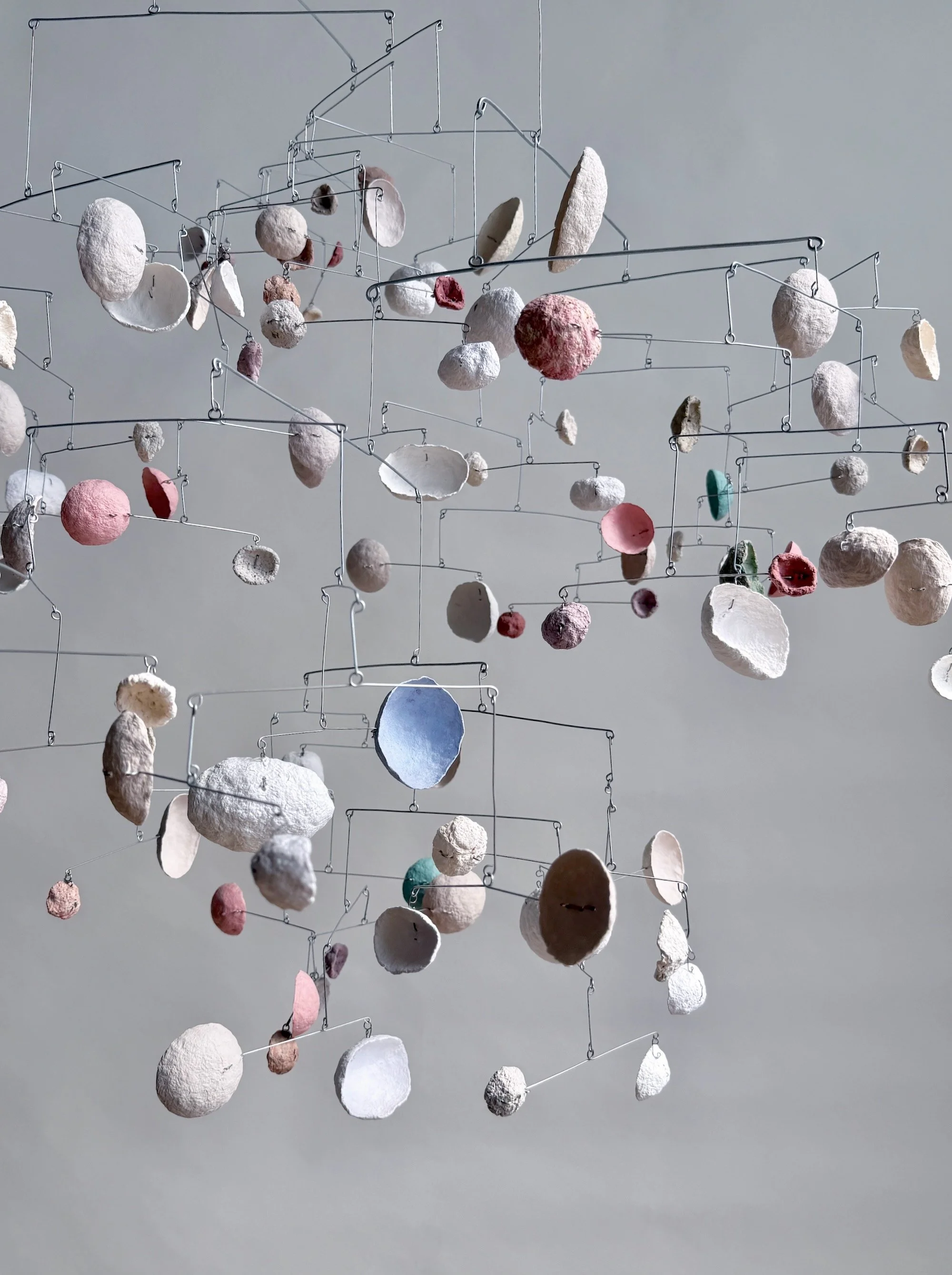 Wiggle-Under. Black-Dot BAAB-BAA, 2024. (16).jpeg