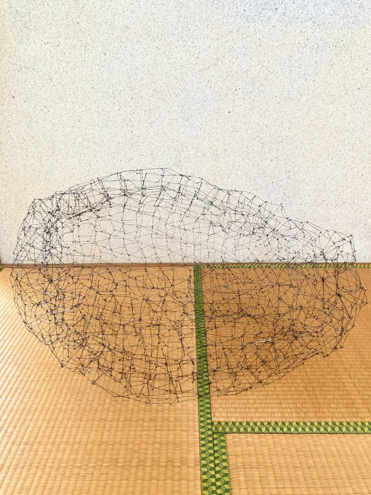 Wire Sculpture 25-1.jpeg