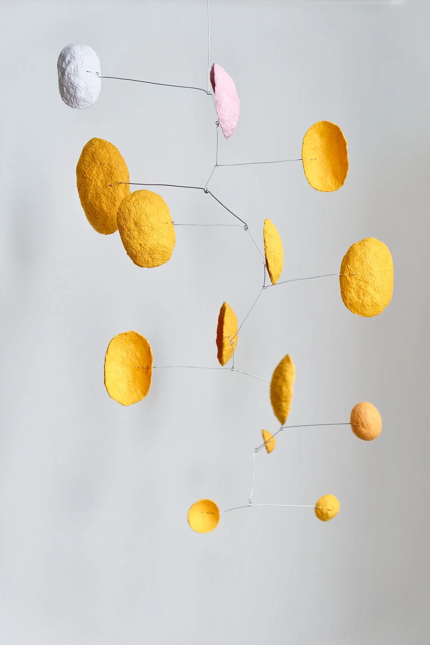 3-03 PM (Saffron) (1).jpeg