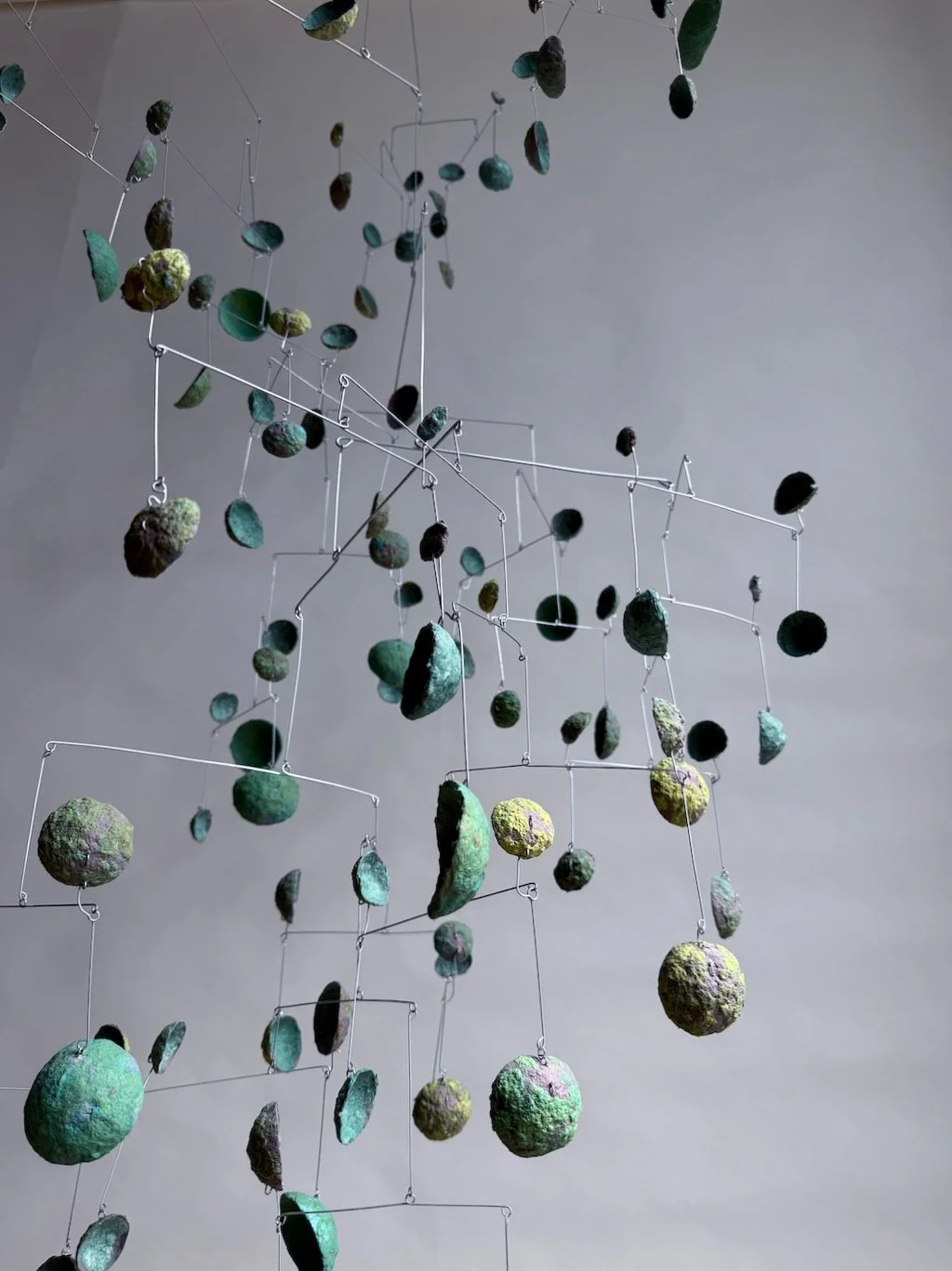 Mindo Cloud Forest (Edition 2 of 2), 2025 (3).jpeg