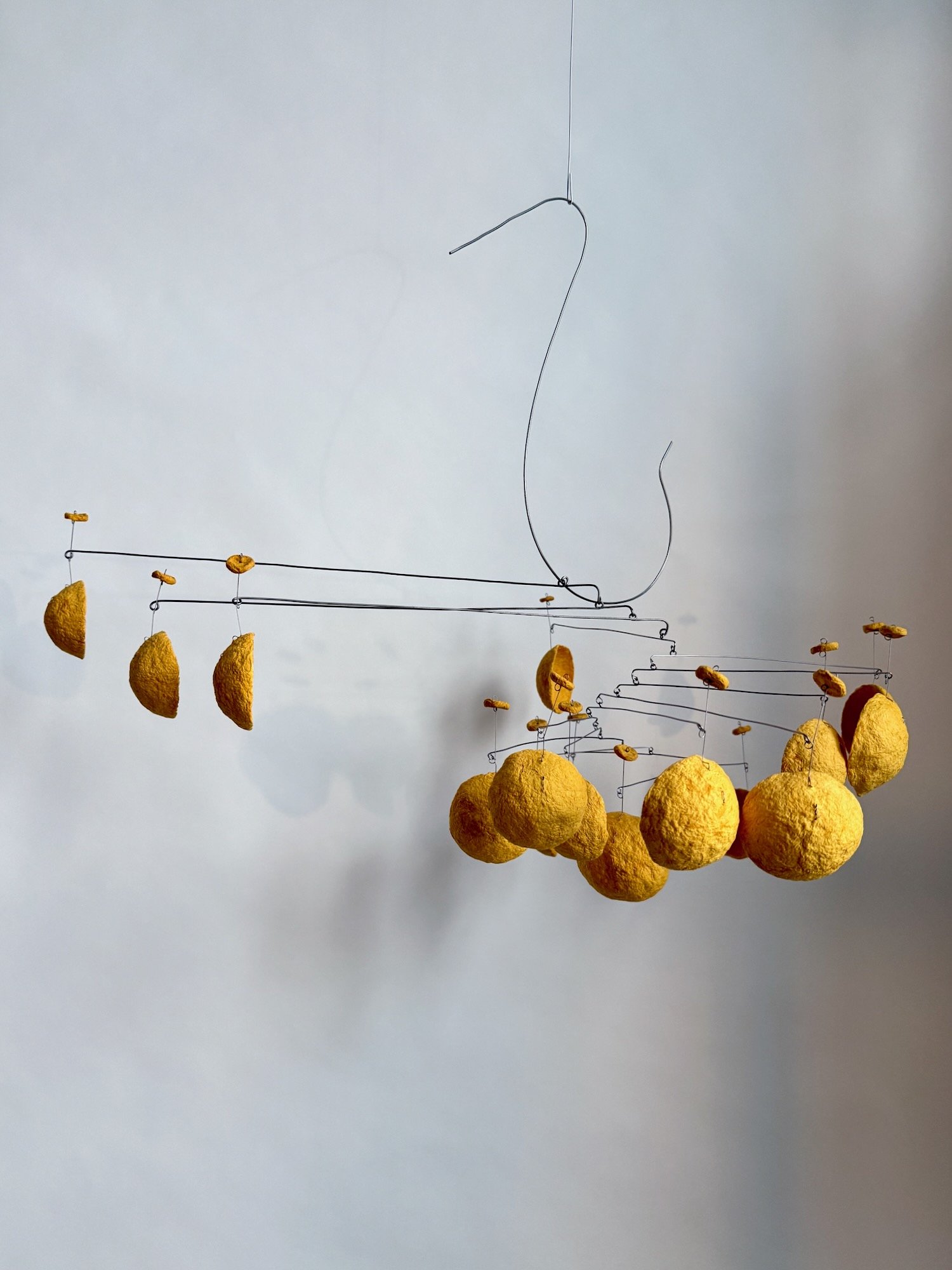 大人気 (Truly Popular), 2025. (1).jpeg