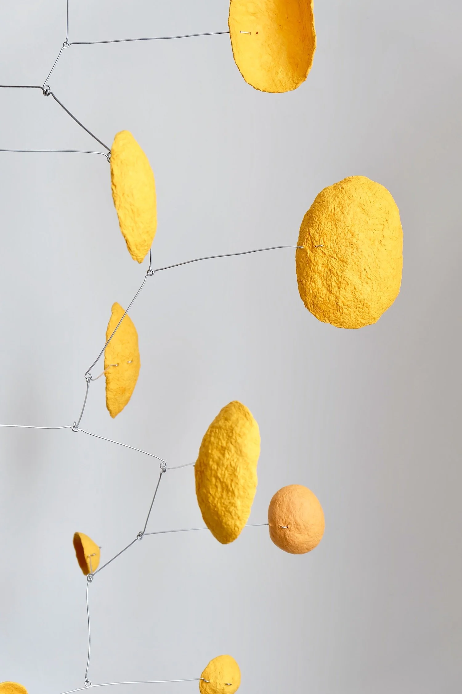 3-03 PM (Saffron) (3).jpeg