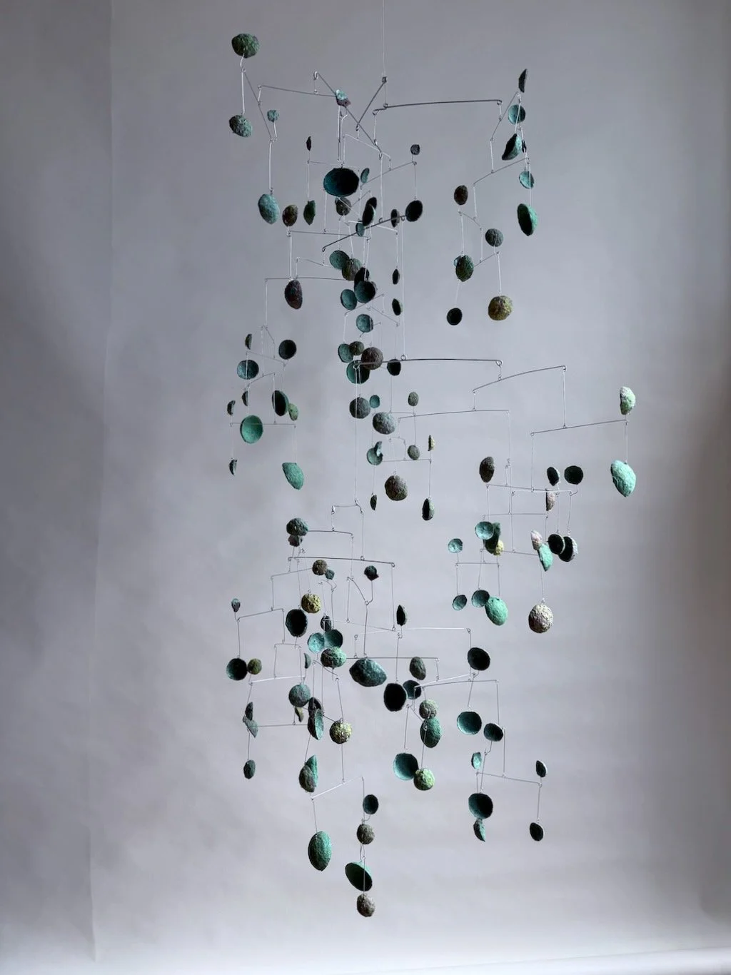 Mindo Cloud Forest (Edition 1 of 2), 2025 (4).jpeg