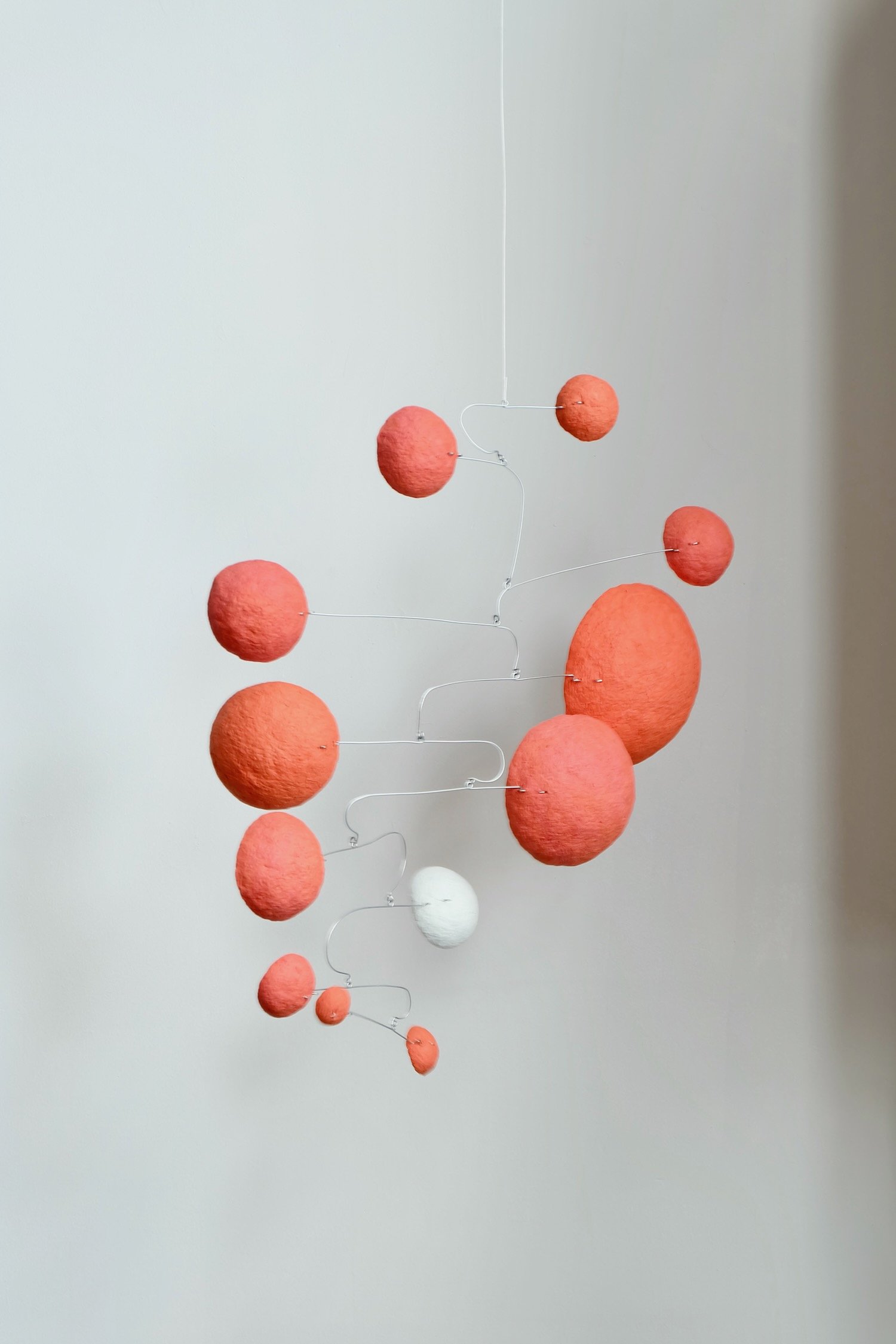 3-02 PM (Orange) (1).jpeg