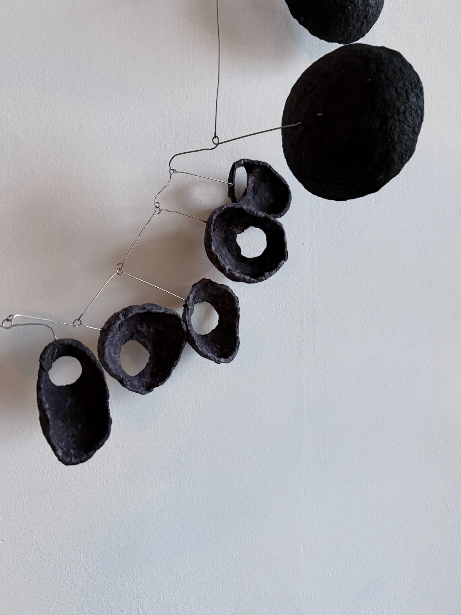 犬の散歩 (Sampo), 2025 (3).jpeg