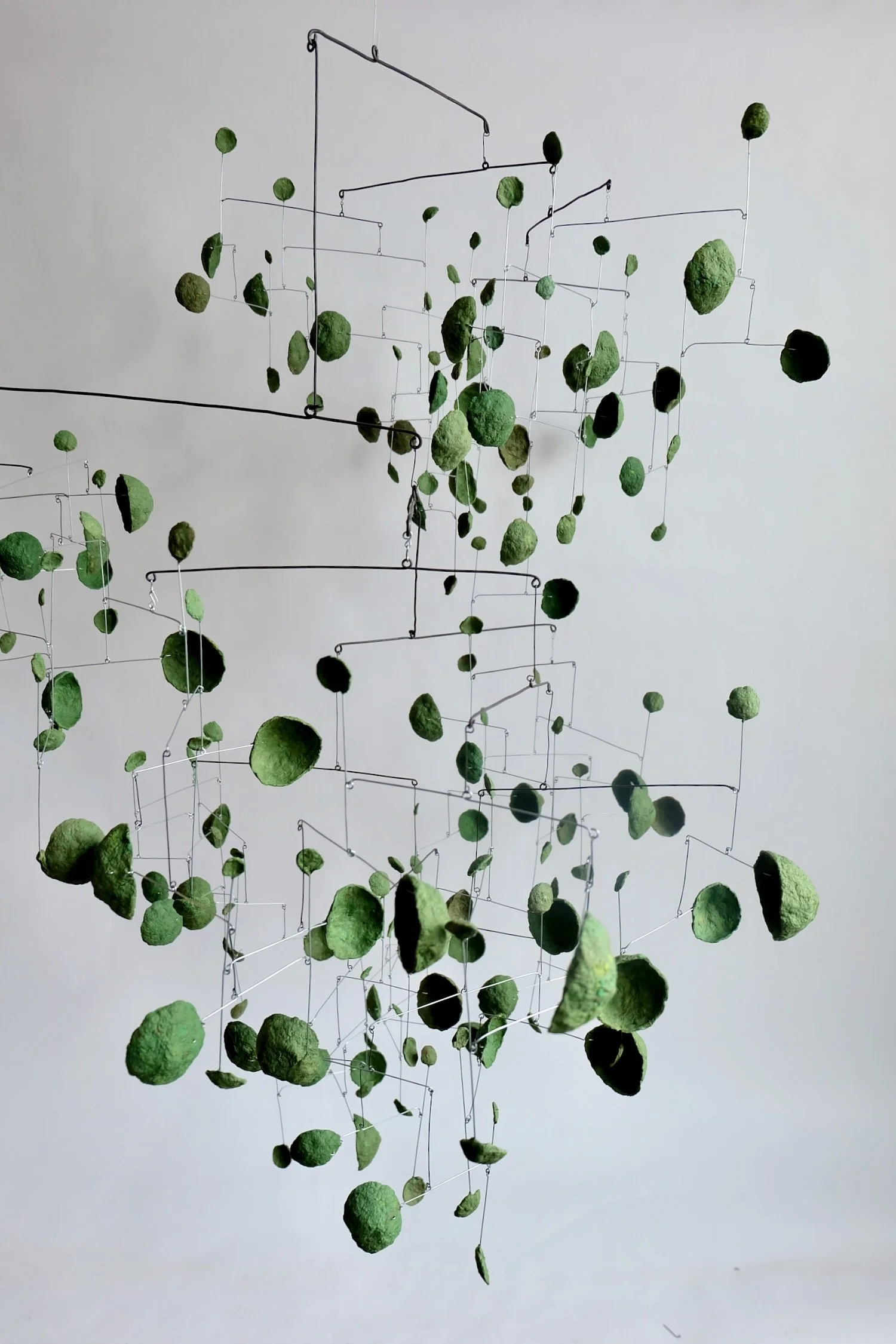 Mossy Mossy H9 (1).jpeg