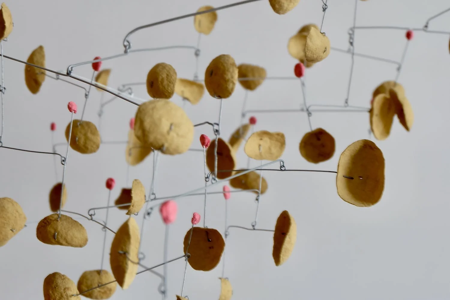 Maple Glaze with Pickled Plums (5)-1500.jpeg