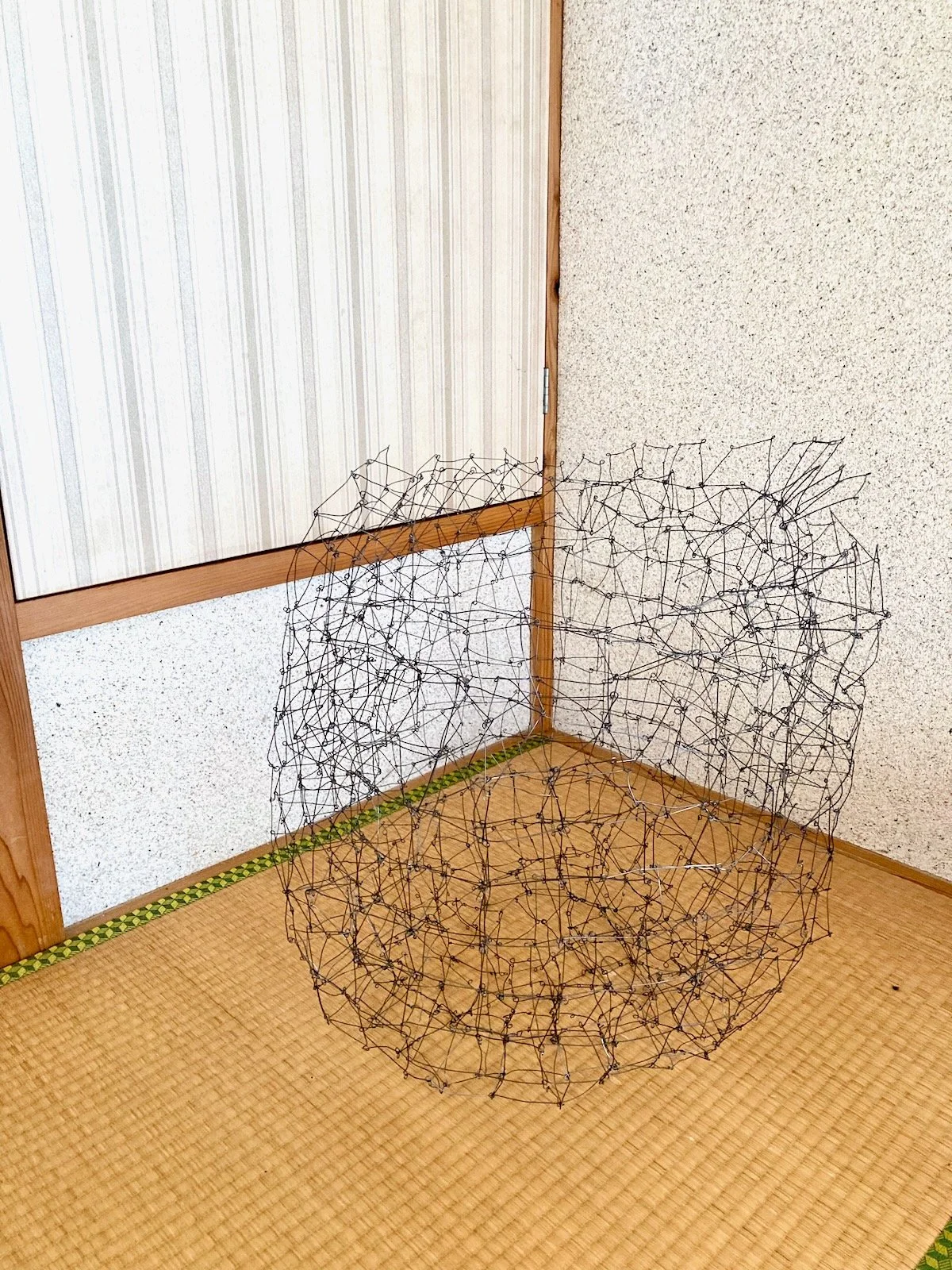 Wire Sculpture 27-1.jpeg