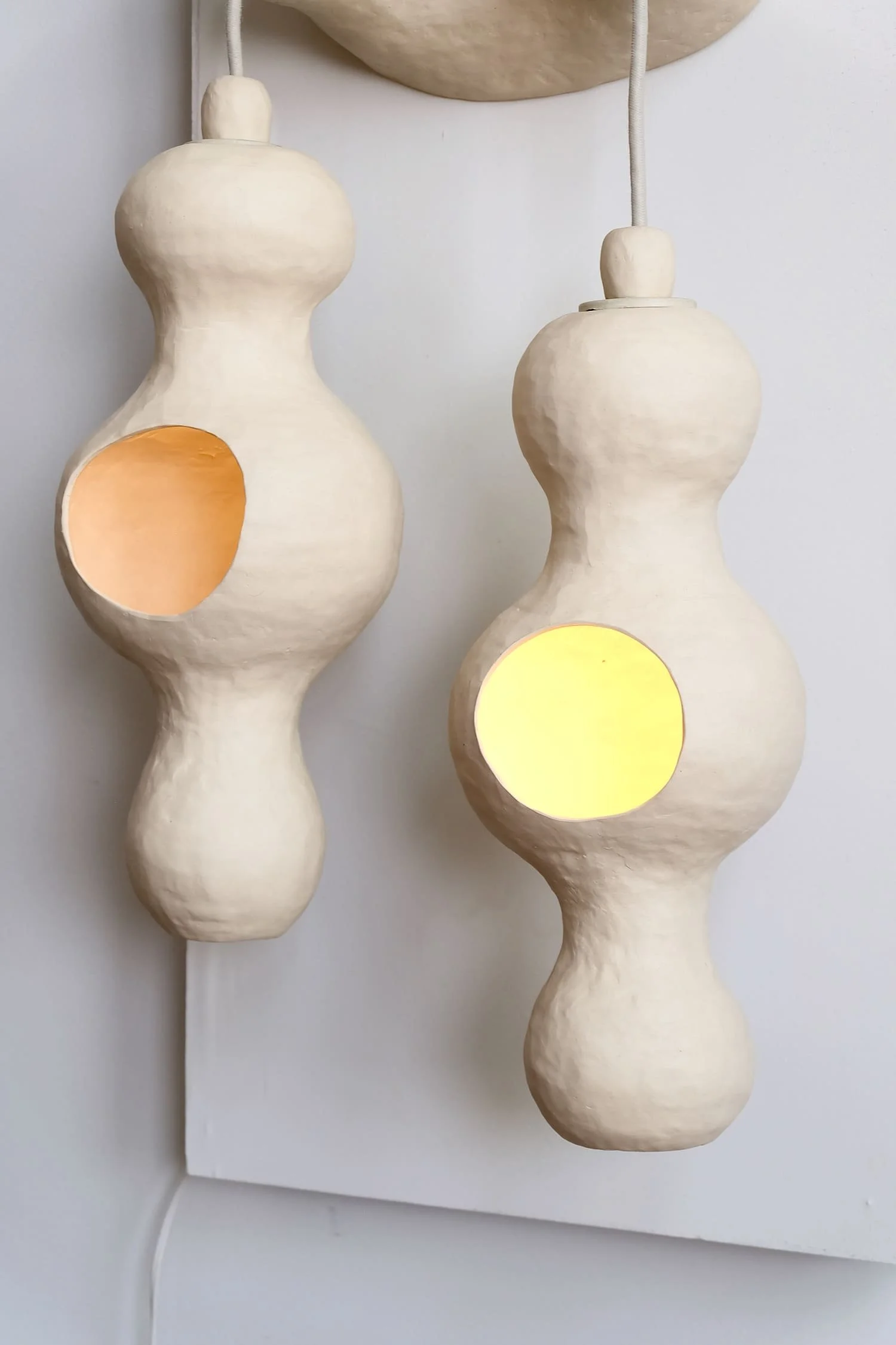 Bowerbird Couple Wall Lamp for Edison (2).jpeg