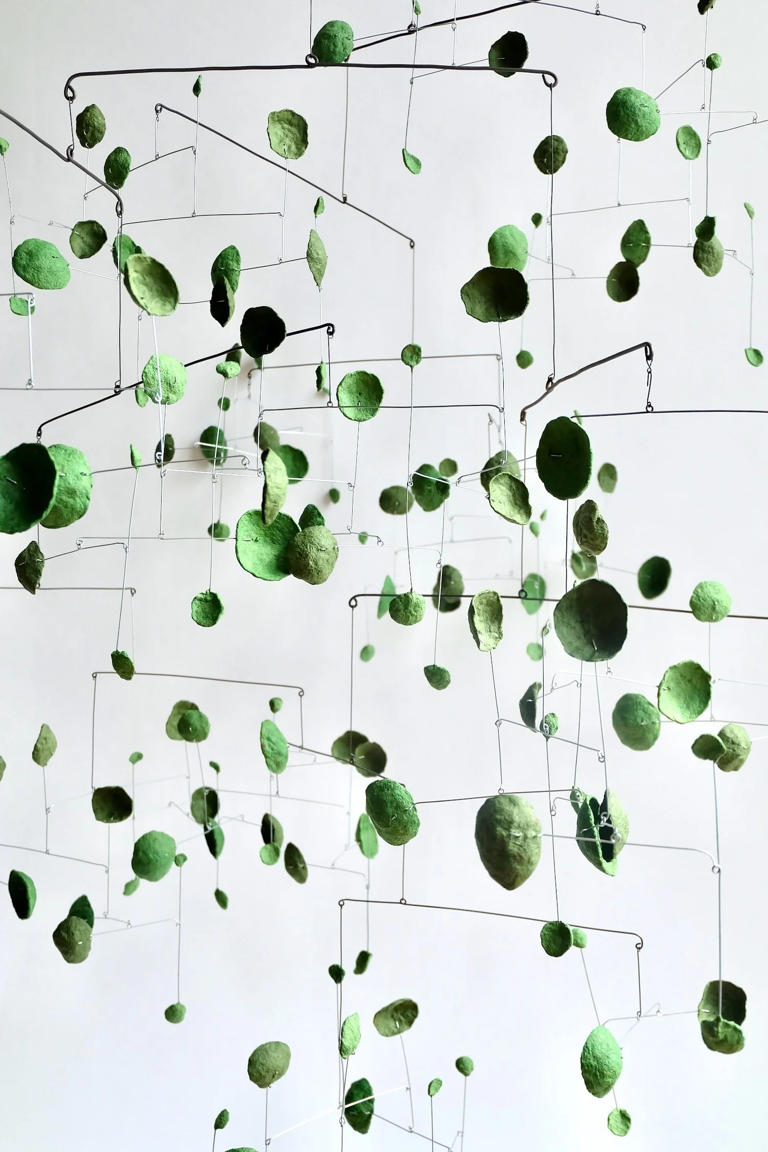 Hopeful Green 3-H6S (2).jpeg