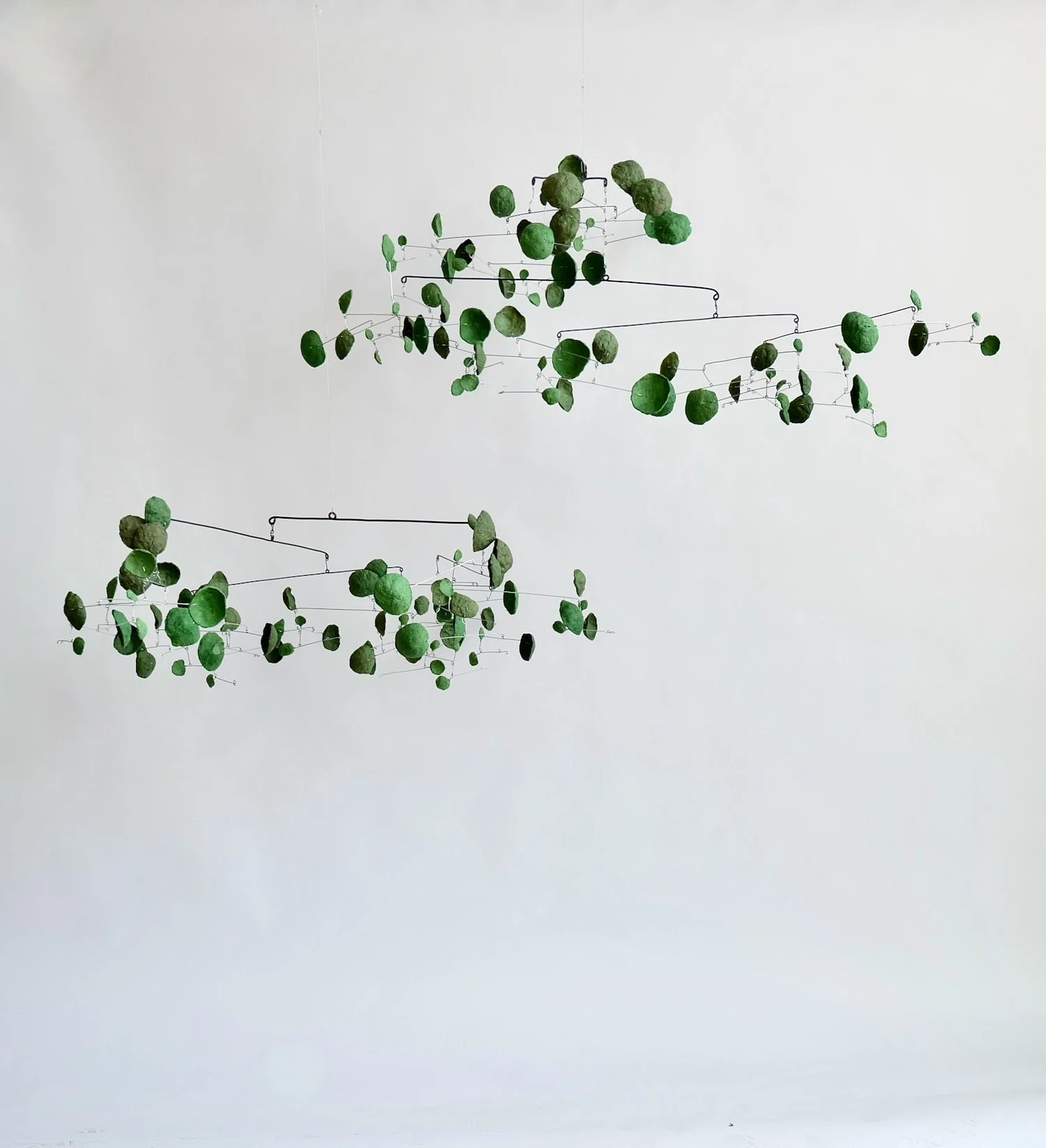 Hopeful Green H6 with Full Fern and Hopeful Green H6 with Half Fern.jpeg