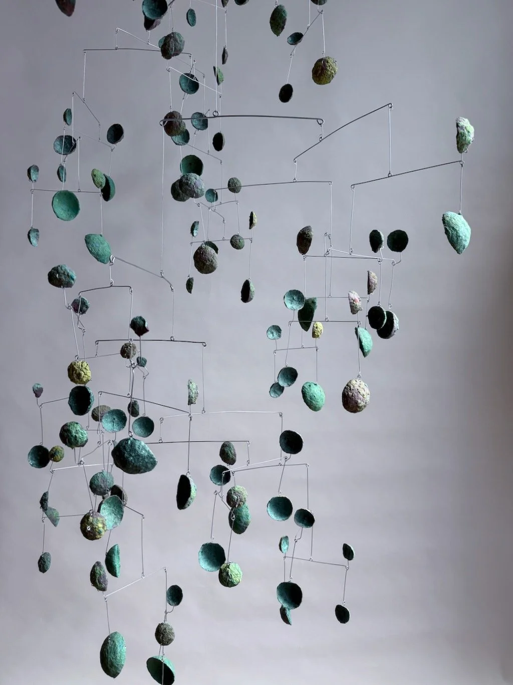 Mindo Cloud Forest (Edition 1 of 2), 2025 (6).jpeg