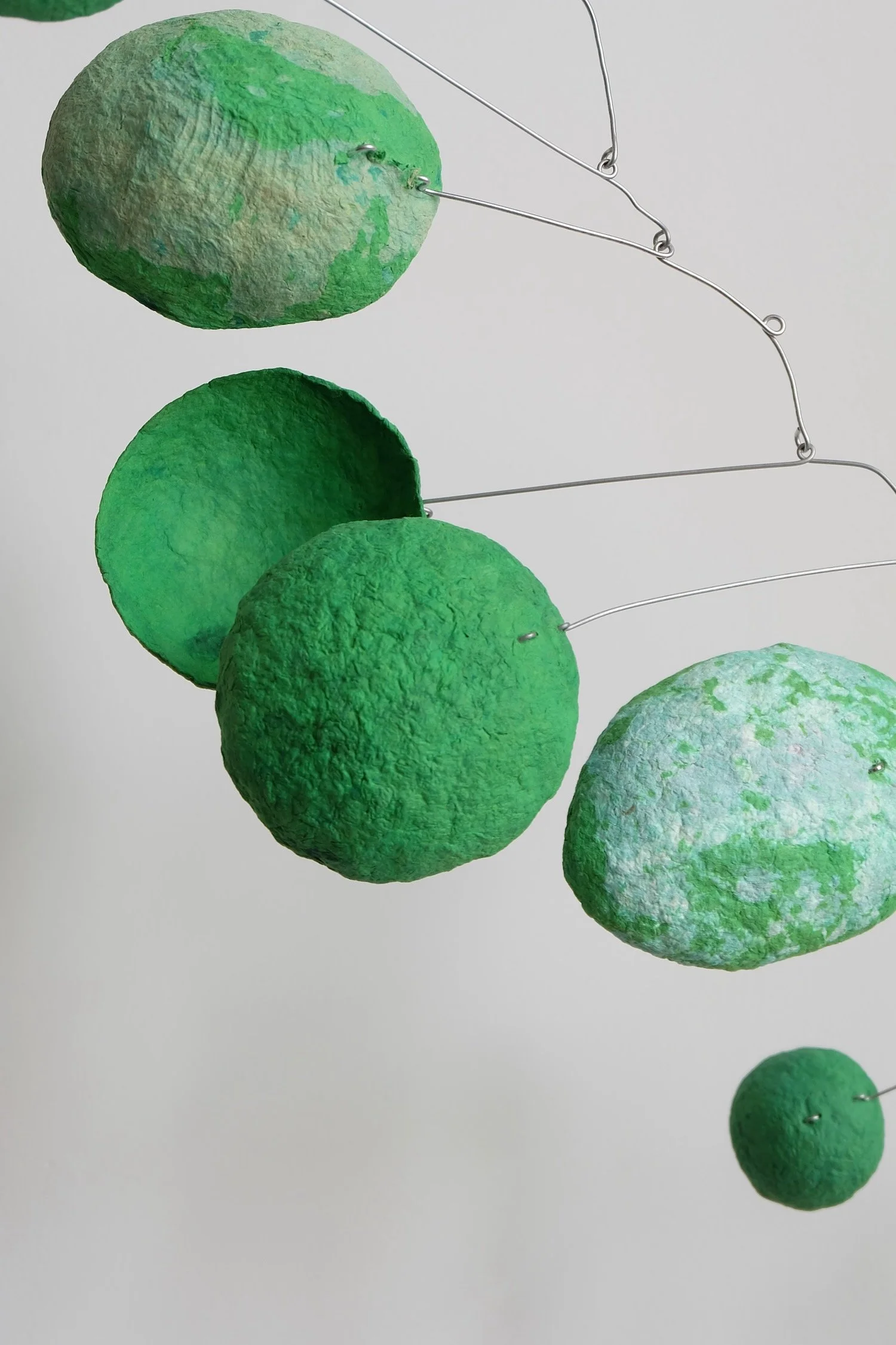 Green Caterpillar 02 (3).jpeg