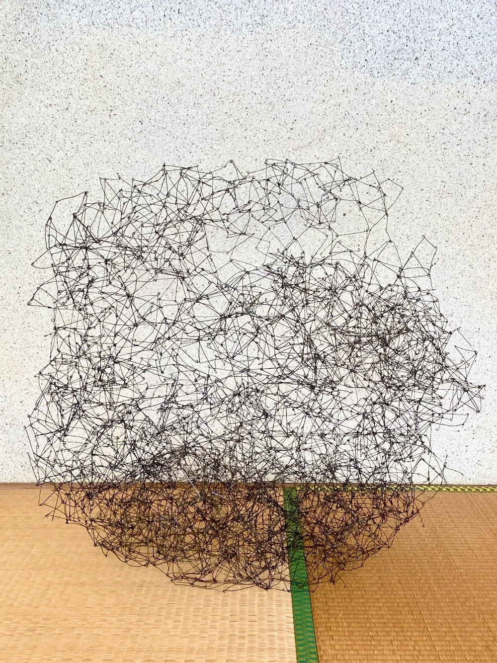 Wire Sculpture 23.jpeg