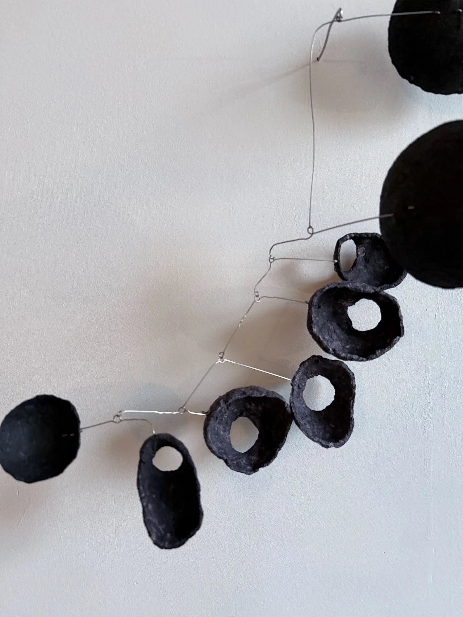 犬の散歩 (Sampo), 2025 (1).jpeg