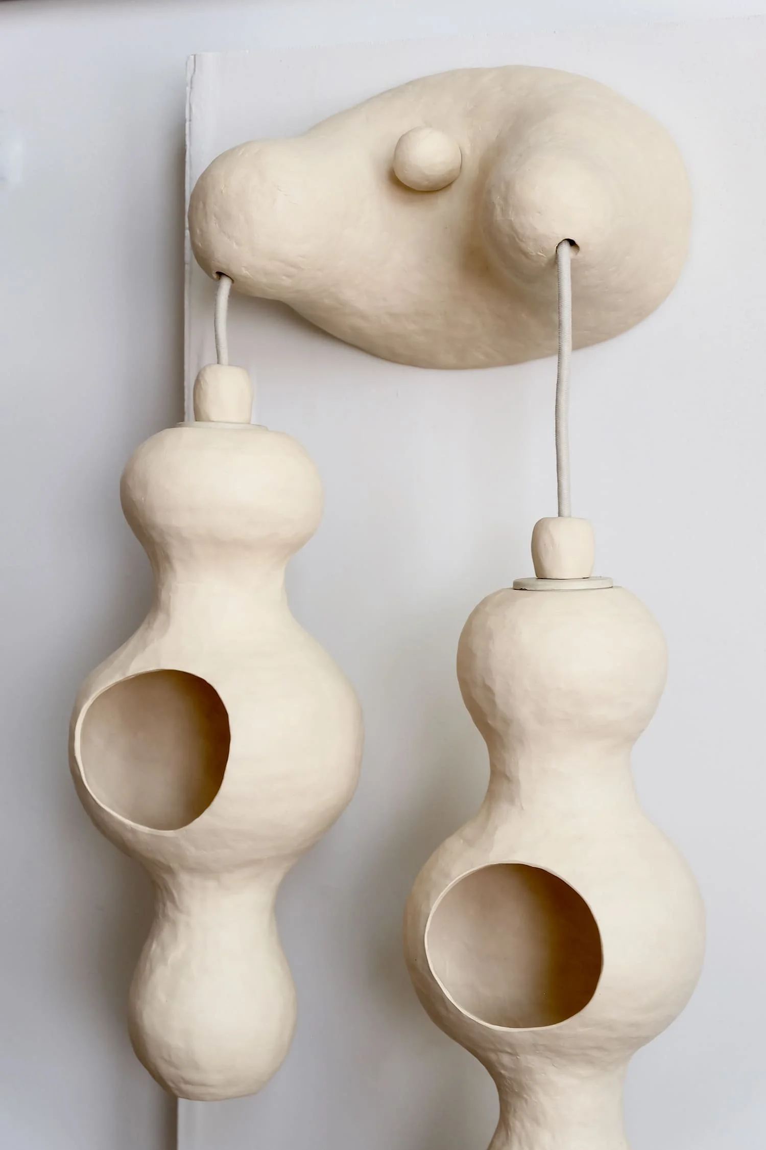 Bowerbird Couple Wall Lamp for Edison (5).jpeg