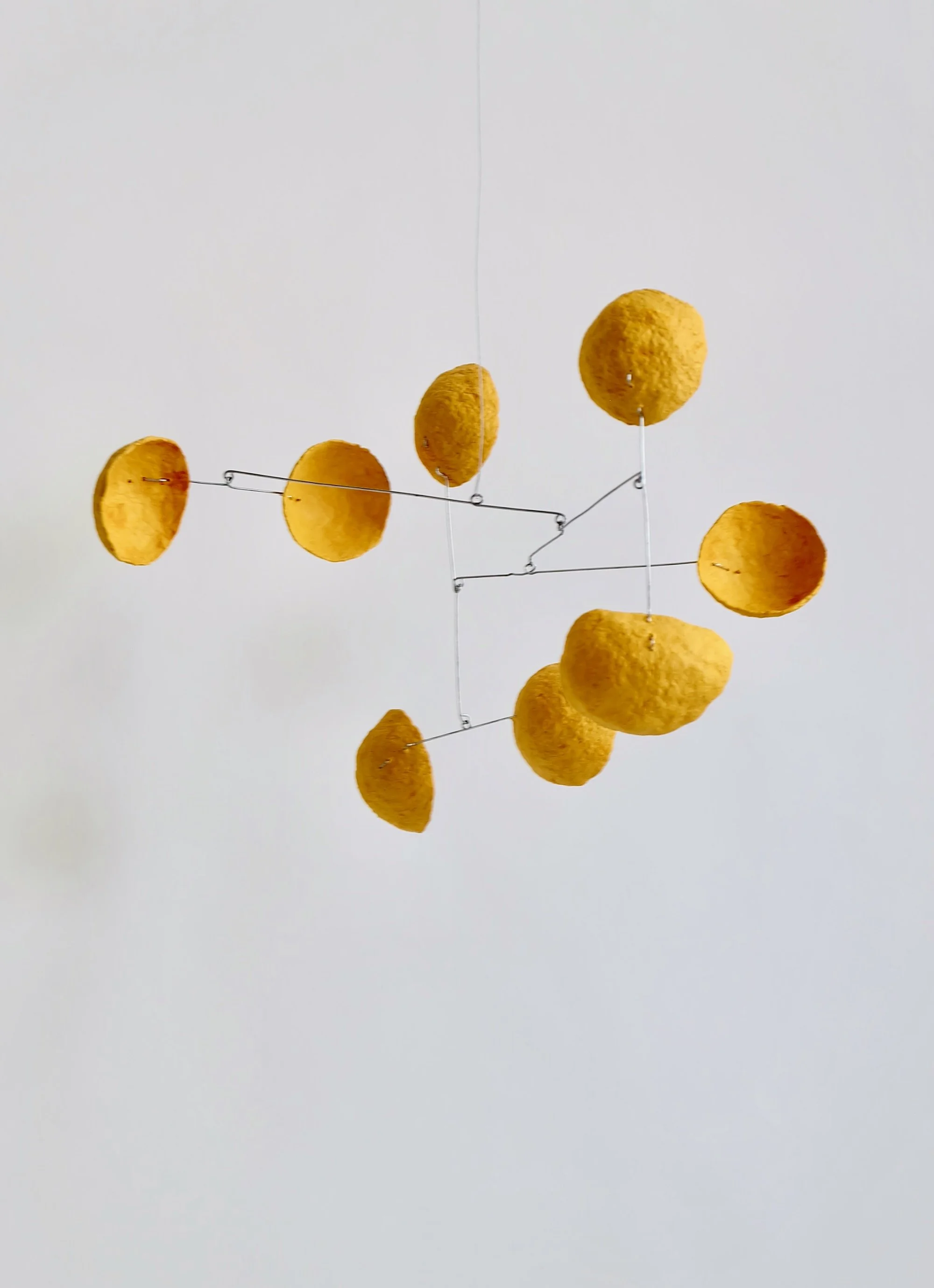 Bonbon Yellow (2).jpeg